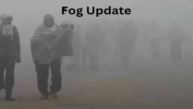 fog update news